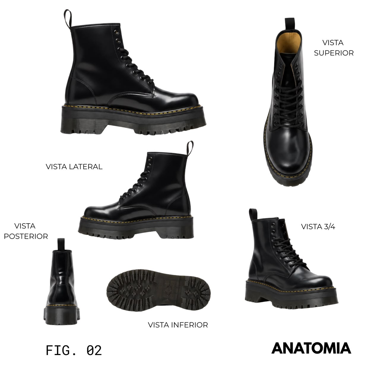 Anatomia